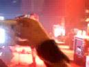 Show da Pitty - Peda�o de Na Sua Estante