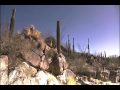 SAGUARO RANCH - www.saguaroranch.net