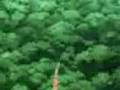 naruto vs orochimaru-no more sorrow