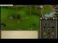 Runescape money guide 1.5mil-2mil a day