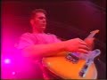New Fast Automatic Daffodils - Fishes Eyes Live
