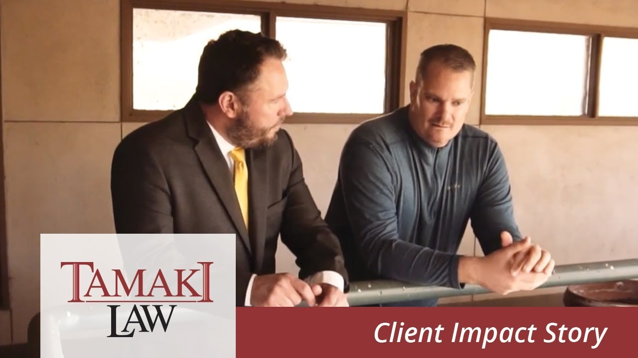 Tamaki Law | Impact Story