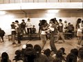 Las Populares Lenguas Las Populares Lenguas