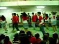 Las Populares Lenguas