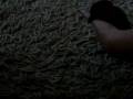 videos de Caique - rikki handwrestling 2.mov