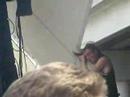 Cute Is What We Aim for live  Warped Tour 7