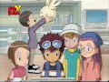 Digimon 02 Español Episodio 3 Digihuevo Evolucion 1/2 Digimon 02 Español Episodio 3 Digihuevo Evolucion 1/2