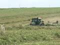 Baling and Raking 2008