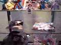 Botcon regeristration and display