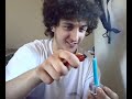 idiozia al 100%