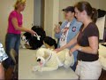 i-goodsearch-for-second-chance-pet-adoptions.html