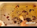 Making Vegetable Stock