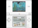 NSMB Walktrough 100% World 6-5 NSMB Walktrough 100% World 6-5