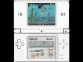 videos de NSMB Walktrough 100% World 6-5