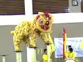 Bandar Botanic Championship - Kajang Yu Hua