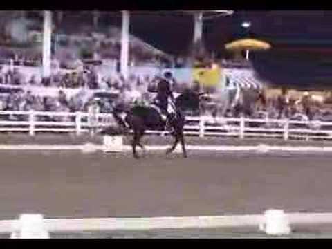 George Williams & Rocher 2005 DAD