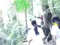 mount makiling mount makiling
