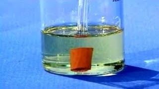 Интересные опыты на тему "Растворители"