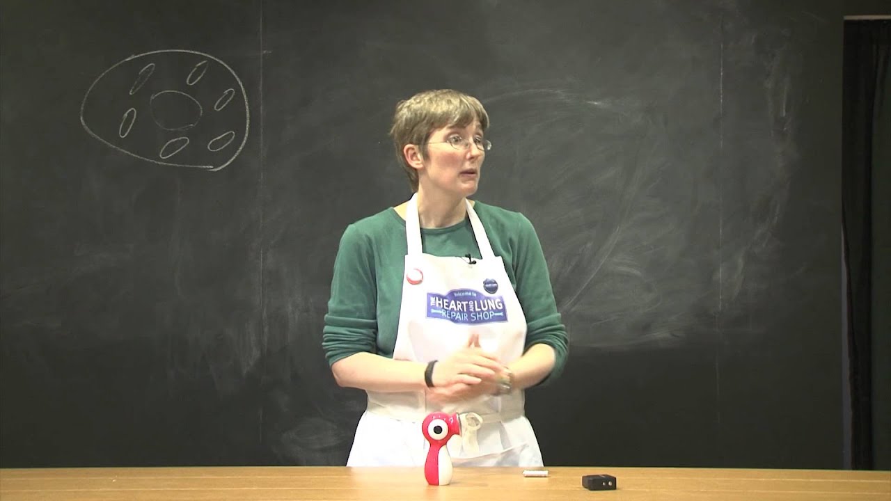 Shop demo - Mighty Mitochondria by Jennifer Simonotto