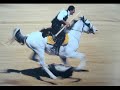 C?R?T ( Ali VAROL )