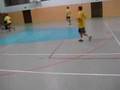 Liga Halowa