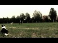 DiduDiscDogTest