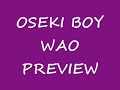 Osakebi Boy WAO! Preview - Berryz Koubou (with lyrics)