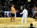 Mismatch at the World Sumo Championships 2006