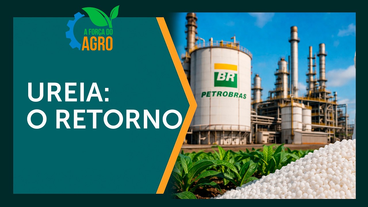 O retorno da ureia Petrobras: O que ninguém te contou  |  A Força do Agro, com Joice Maffezzolli