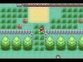 pokemon hack by caleb 2