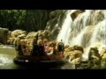 This Day In History Of The Walt Disney World Resort May 29, 30 & 31
