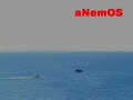 Three speed boats racing