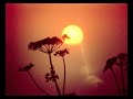 Dj Tri-Stars - Abendsonne