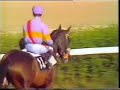 1985 (181) Gran Premio DE MADRID (Grupo I) (RICHAL)