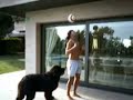 4. Ronaldinho - Direto do jardim
