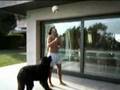 4. Ronaldinho - Direto do jardim