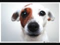 Rommy - Ik Kan Vergeten