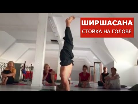 Отстройка ширшасаны от Анатолия Зенченко Отстройка ширшасаны от Анатолия Зенченко