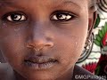 Senegal Fast Food - Manu Chao