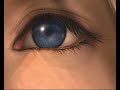 NENA DACONTE-IDIOTA FINAL FANTASY X