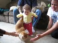 Tatum attacks cat