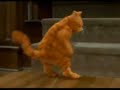 garfiel karvinen el gato loco garfiel dansing cumbia xd