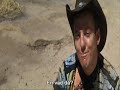 Crocodile dundee 2 - Donk!