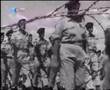 Violencia da guerra