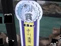 昆虫部門 銀賞（2位）ネプチューンオオカブト（Dynastes neptunus）