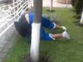 videos de Borrego vs konejo.3gp