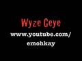 wyze geye & anomoly - tie my hands video collab