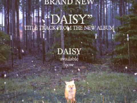 daisy