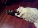 Luka, momento de relax Luka, momento de relax