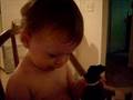 videos de The chocolate dog vs. baby